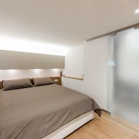Apartamento Charming Loft Nel Centro Citta-wifi